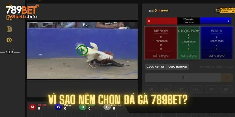 Chứng minh vì sao sảnh game được lòng người chơi
